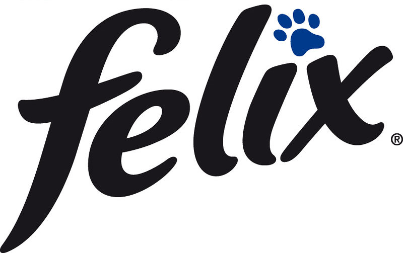 KatKin A fresh take on cat health KatKin Club